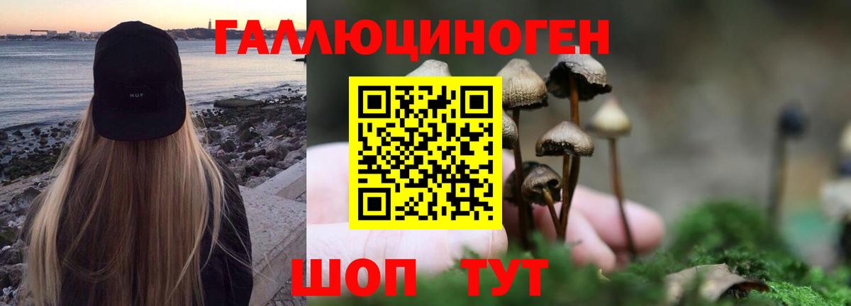 Чита  Псилоцибиновые грибы GOLDEN TEACHER  Вход с VPN 